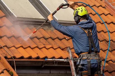 Démoussage et hydrofuge de toiture à Bergheim